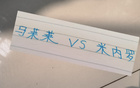 第10轮马莱莱进球，申花压力至米内罗。