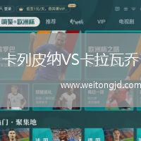 卡列皮纳VS卡拉瓦乔