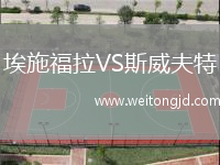 埃施福拉VS斯威夫特