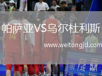 帕萨亚VS乌尔杜利斯