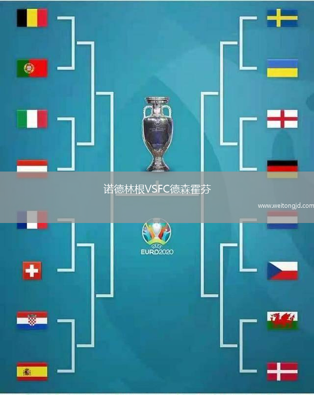 诺德林根VSFC德森霍芬
