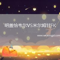 明盖恰韦尔VS米尔姆甘FK